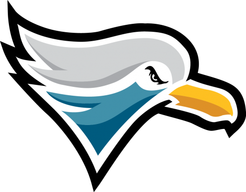 Jersey Gulls Primary Logo